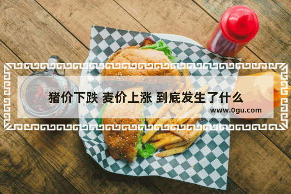 猪价下跌 麦价上涨 到底发生了什么