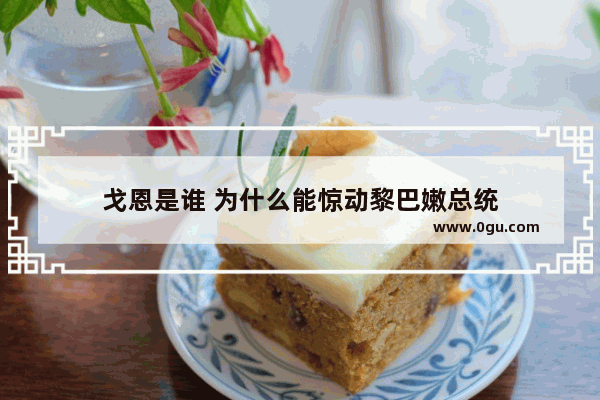 戈恩是谁 为什么能惊动黎巴嫩总统