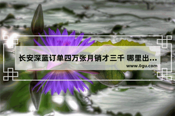 长安深蓝订单四万张月销才三千 哪里出问题了