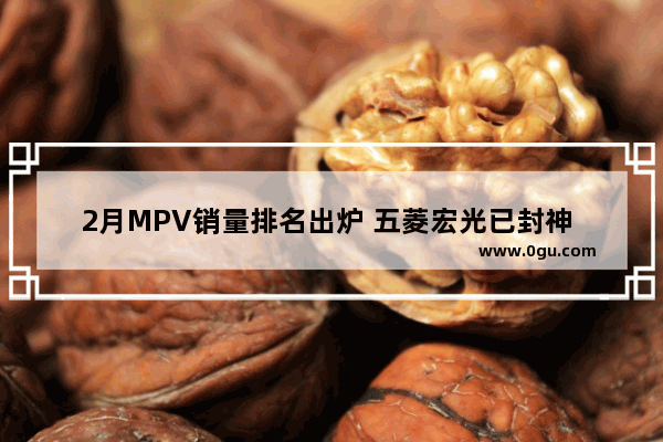 2月MPV销量排名出炉 五菱宏光已封神 凯捷何时破万