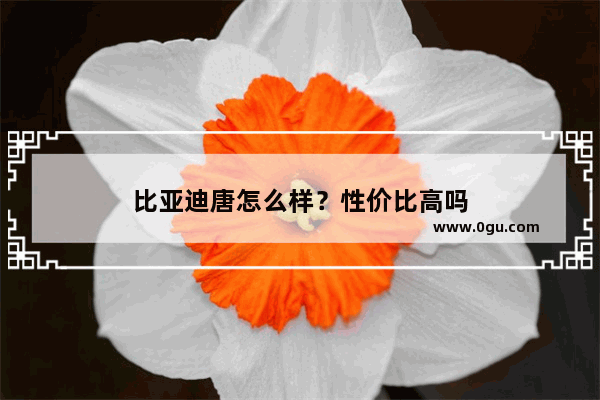 比亚迪唐怎么样？性价比高吗