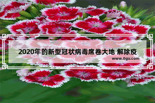 2020年的新型冠状病毒席卷大地 解除疫情后的车市您怎么看