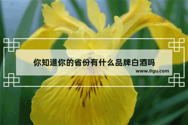 你知道你的省份有什么品牌白酒吗