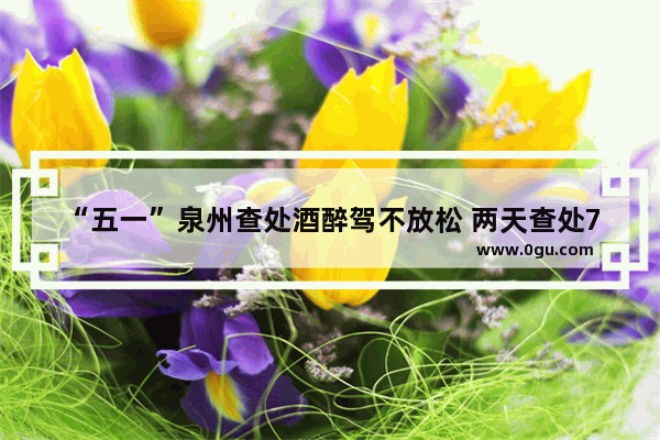 “五一”泉州查处酒醉驾不放松 两天查处70多起, 你怎么看