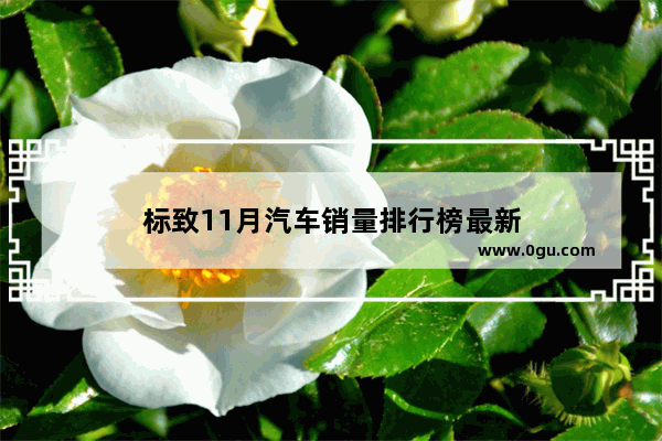 标致11月汽车销量排行榜最新
