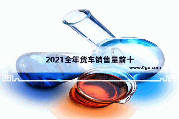 2021全年货车销售量前十