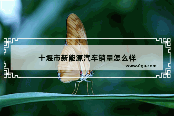 十堰市新能源汽车销量怎么样