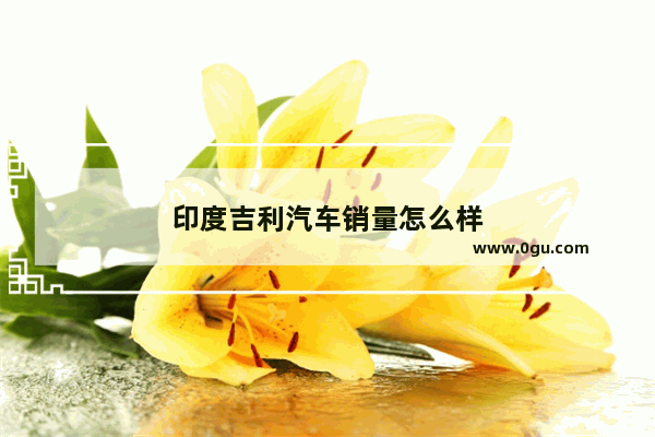 印度吉利汽车销量怎么样