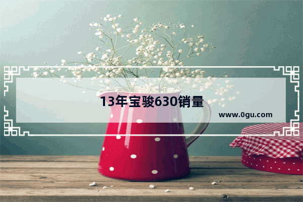 13年宝骏630销量