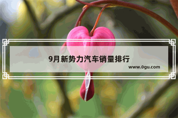 9月新势力汽车销量排行