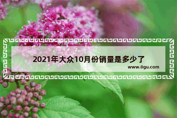 2021年大众10月份销量是多少了