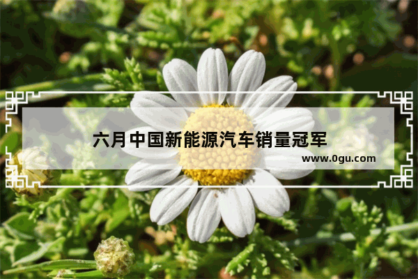 六月中国新能源汽车销量冠军