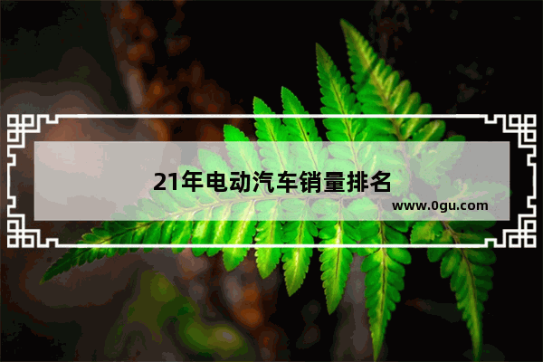21年电动汽车销量排名