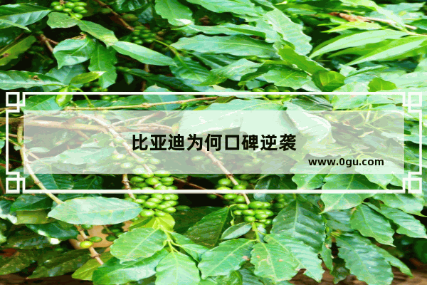 比亚迪为何口碑逆袭