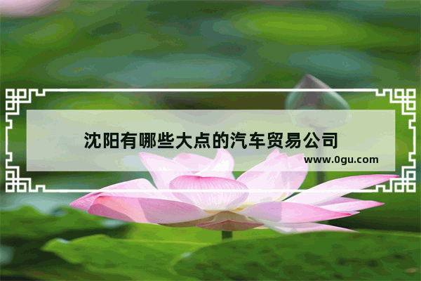 沈阳有哪些大点的汽车贸易公司