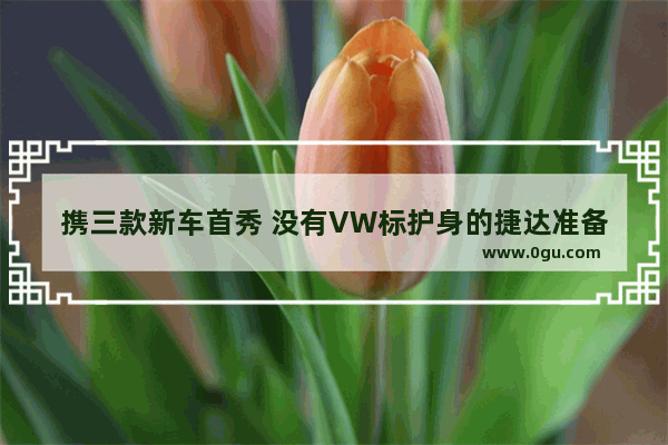 携三款新车首秀 没有VW标护身的捷达准备好了吗