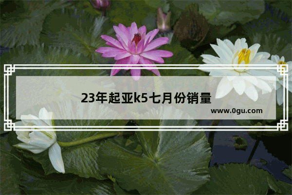 23年起亚k5七月份销量