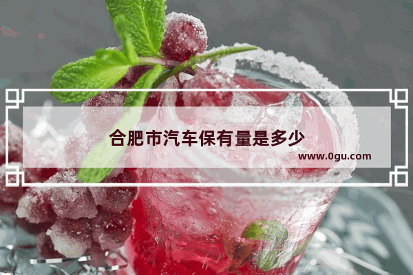 合肥市汽车保有量是多少