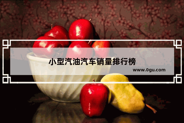 小型汽油汽车销量排行榜