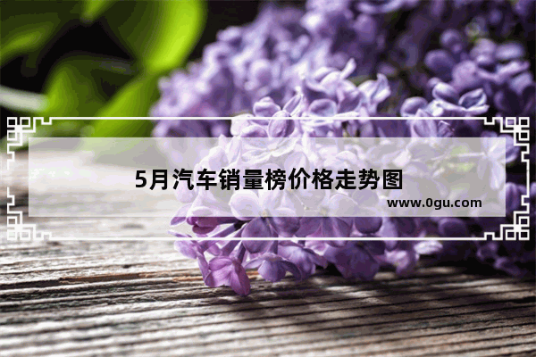 5月汽车销量榜价格走势图