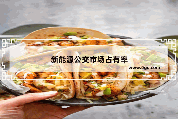 新能源公交市场占有率