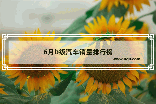 6月b级汽车销量排行榜