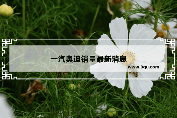 一汽奥迪销量最新消息
