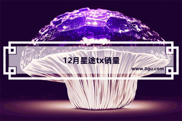 12月星途tx销量
