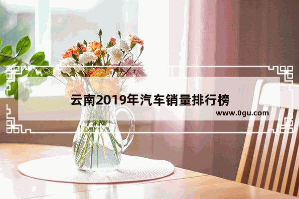 云南2019年汽车销量排行榜