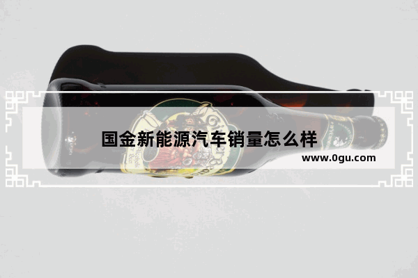 国金新能源汽车销量怎么样