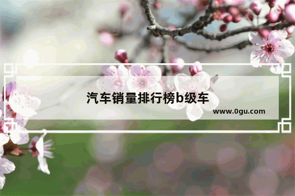 汽车销量排行榜b级车