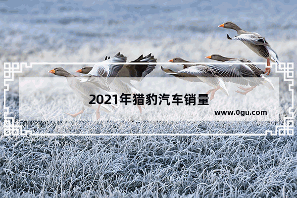 2021年猎豹汽车销量