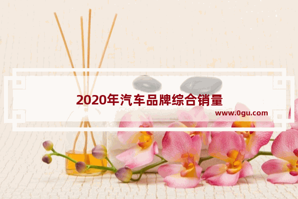 2020年汽车品牌综合销量