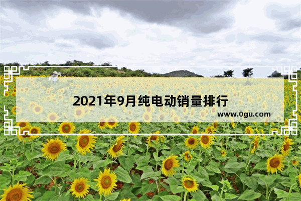 2021年9月纯电动销量排行