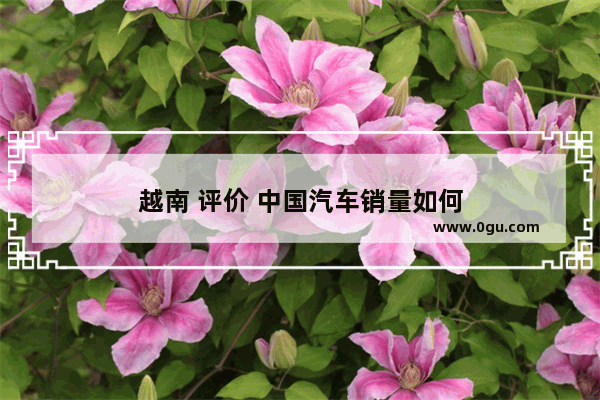 越南 评价 中国汽车销量如何