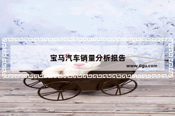 宝马汽车销量分析报告