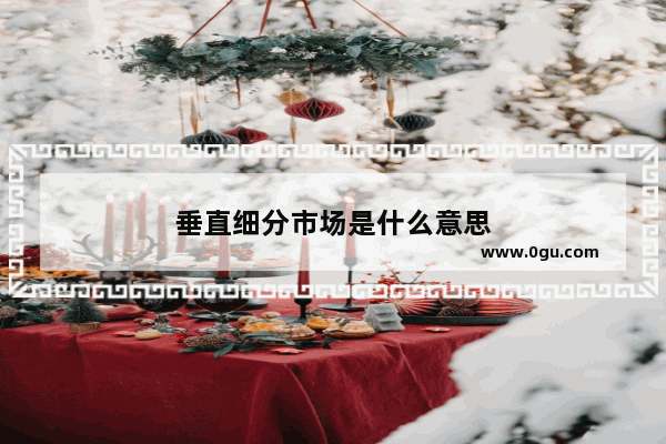 垂直细分市场是什么意思