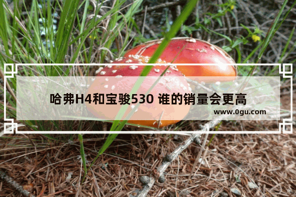 哈弗H4和宝骏530 谁的销量会更高