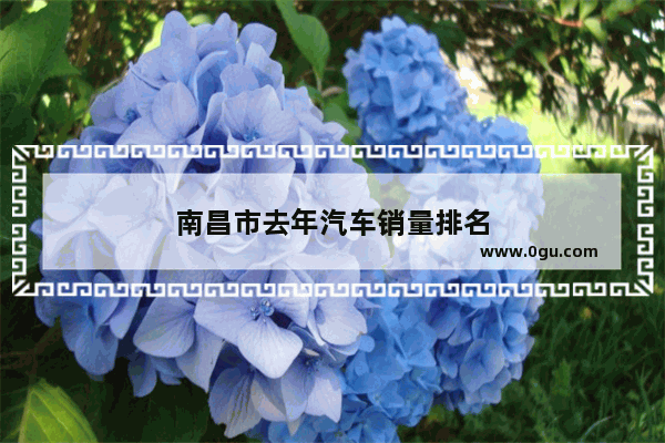 南昌市去年汽车销量排名