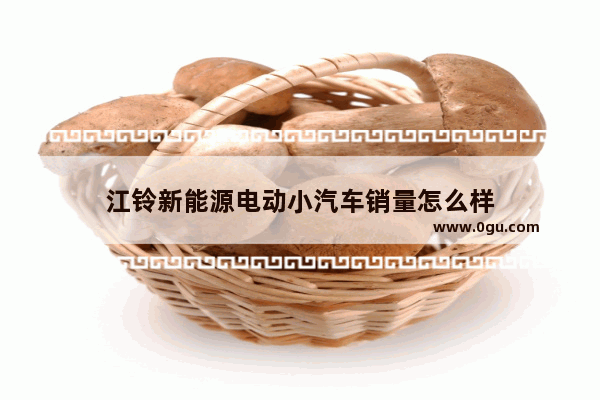 江铃新能源电动小汽车销量怎么样