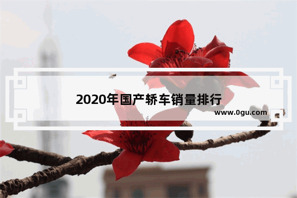 2020年国产轿车销量排行
