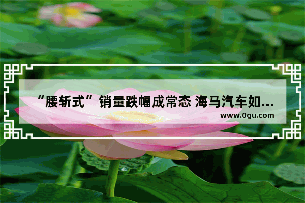 “腰斩式”销量跌幅成常态 海马汽车如今为何一蹶不振