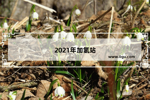 2021年加氢站