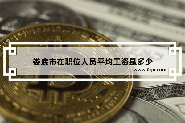 娄底市在职位人员平均工资是多少