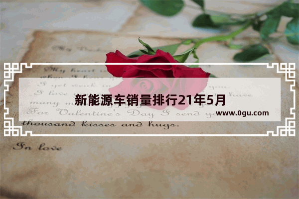 新能源车销量排行21年5月