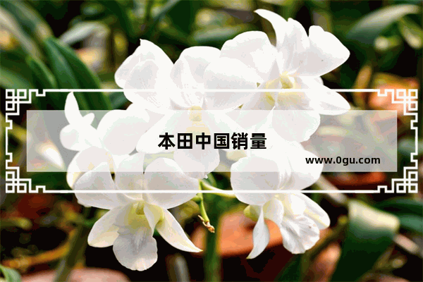 本田中国销量