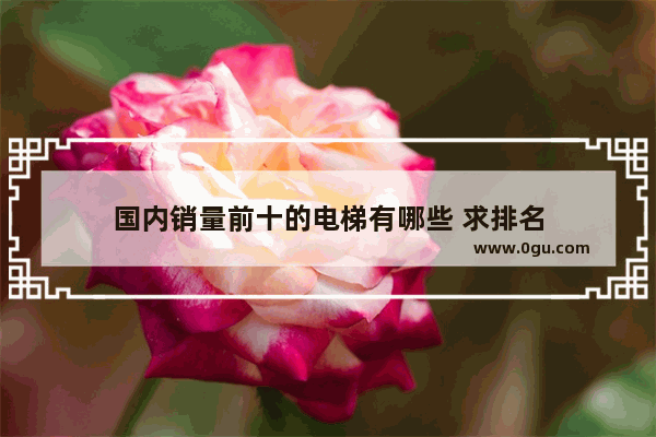 国内销量前十的电梯有哪些 求排名