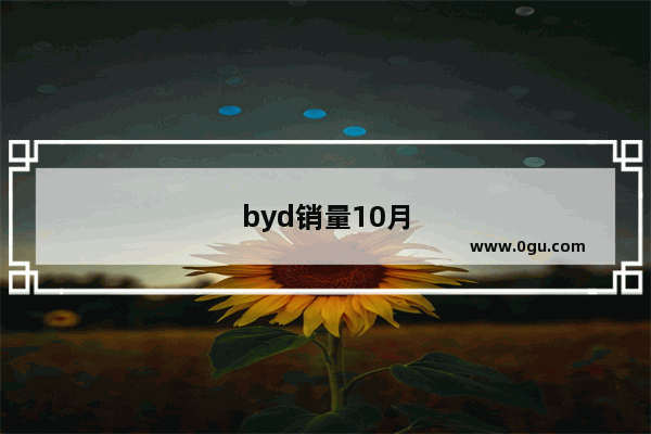 byd销量10月