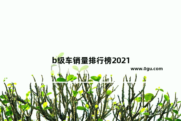 b级车销量排行榜2021