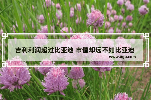 吉利利润超过比亚迪 市值却远不如比亚迪 李书福做错了什么